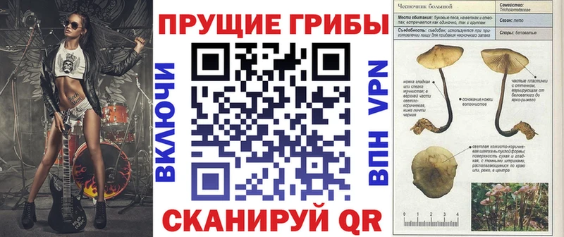 Псилоцибиновые грибы ЛСД  где купить наркоту  Каменск-Шахтинский 